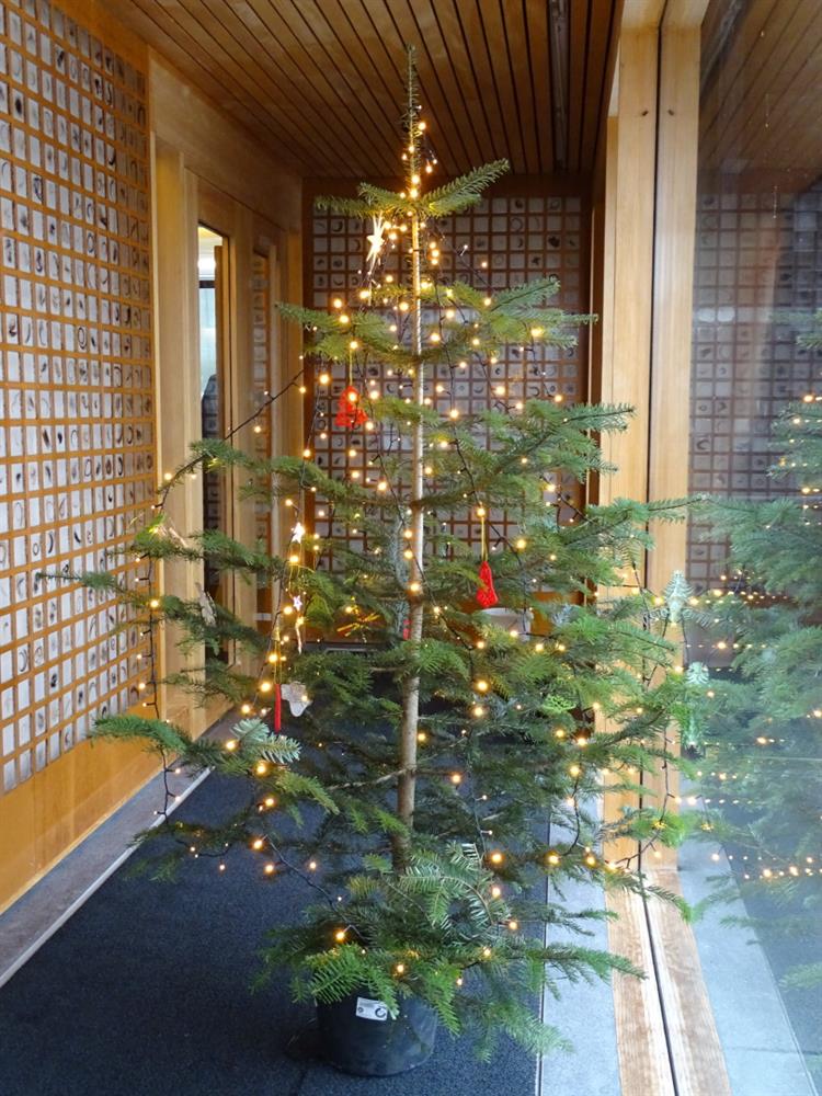 Weihnachtsbaum von Bernhard Hagspiel